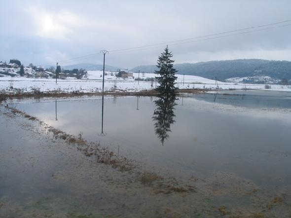 Bildname: IMG_5494.jpg 
 Breite: 600 Pixel 
 H�he: 450 Pixel 
 Gr�sse: 80 kB 