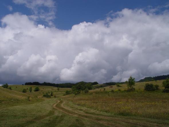 Bildname: DSC01089.JPG 
 Breite: 1024 Pixel 
 H�he: 768 Pixel 
 Gr�sse: 62 kB 