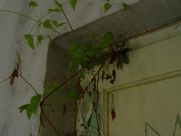 Bildname: DSC01140.JPG 
 Breite: 1024 Pixel 
 H�he: 768 Pixel 
 Gr�sse: 67 kB 