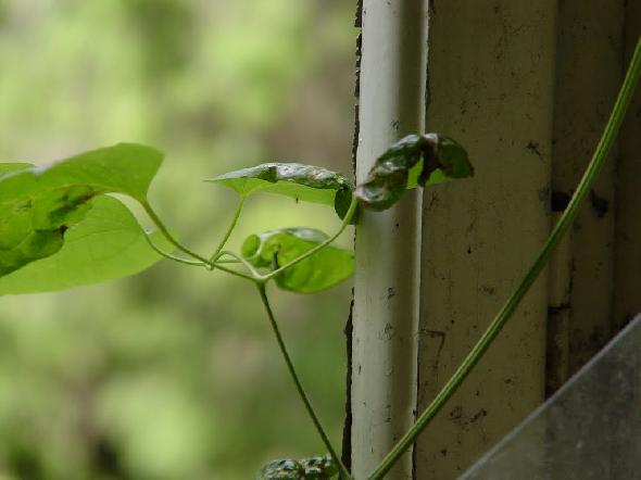 Bildname: DSC01146.JPG 
 Breite: 1024 Pixel 
 H�he: 768 Pixel 
 Gr�sse: 59 kB 