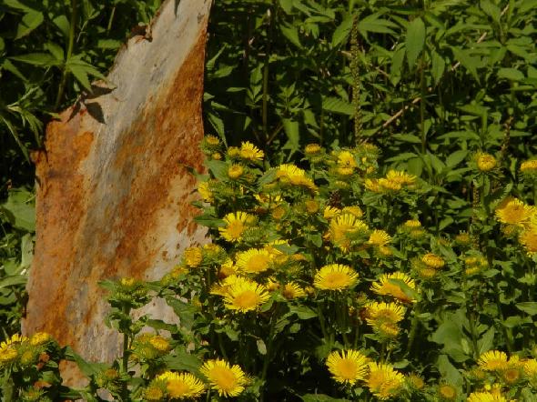 Bildname: DSC01192.JPG 
 Breite: 1024 Pixel 
 H�he: 768 Pixel 
 Gr�sse: 165 kB 