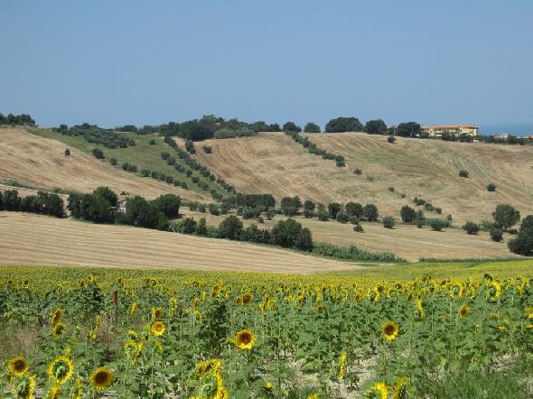 Bildname: IMG_5654.JPG 
 Breite: 1024 Pixel 
 H�he: 768 Pixel 
 Gr�sse: 164 kB 