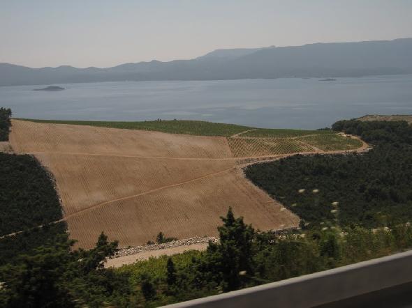 Bildname: IMG_5891.JPG 
 Breite: 1024 Pixel 
 H�he: 768 Pixel 
 Gr�sse: 82 kB 