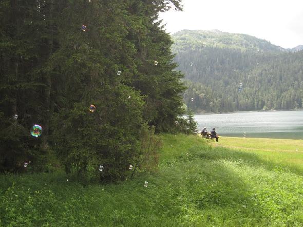 Bildname: IMG_6108.JPG 
 Breite: 1024 Pixel 
 H�he: 768 Pixel 
 Gr�sse: 139 kB 