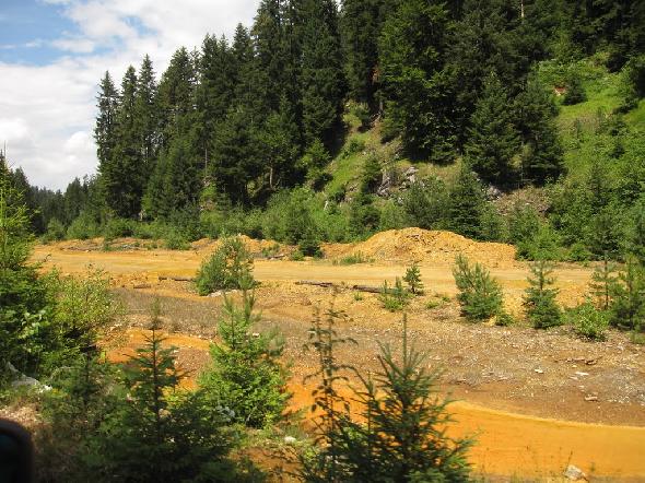 Bildname: IMG_6164.JPG 
 Breite: 1024 Pixel 
 H�he: 768 Pixel 
 Gr�sse: 219 kB 