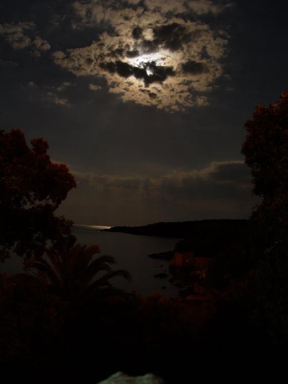 Bildname: DSC01081.JPG 
 Breite: 768 Pixel 
 H�he: 1024 Pixel 
 Gr�sse: 45 kB 