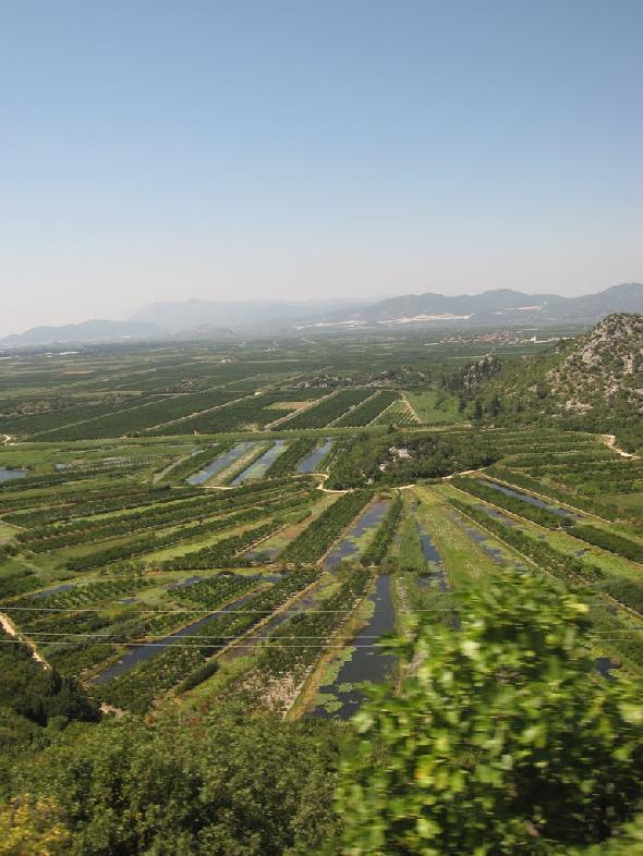 Bildname: IMG_5886.JPG 
 Breite: 768 Pixel 
 H�he: 1024 Pixel 
 Gr�sse: 141 kB 