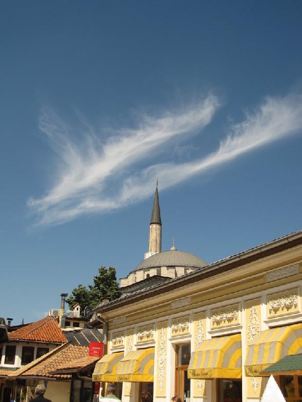 Bildname: IMG_6222.JPG 
 Breite: 768 Pixel 
 H�he: 1024 Pixel 
 Gr�sse: 99 kB 